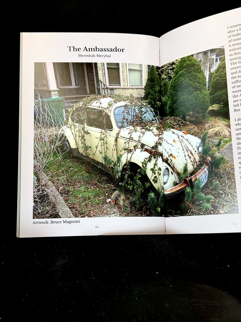 Photography by Bruce Magnotti
